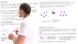 Enzyme Assay Enzyme Activity And Specific Activity Youtube