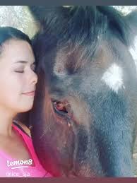 Remembering Captain: A Tribute to My Heart Horse