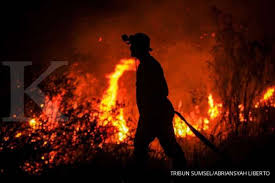 Ditulis oleh adinda rudystina diperbarui 27/04/2021. Cegah Kebakaran Hutan Lahan Pemegang Konsesi Harus Dibebani Tanggung Jawab