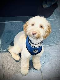 When he eat it from the back and then burp what that mean