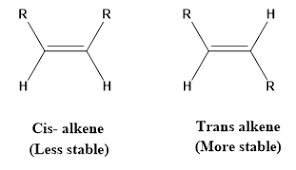 Which Is More Stable, Cis - Or Trans-1,2-Dimethyl Cyclobutane And Whyh