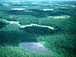 Our community is located in the upper east side of texas on the charming cedar creek lake, allowing for a full day on the water while maintaining the ability to enjoy dallas nightlife. Cedar Creek Ecosystem Science Reserve