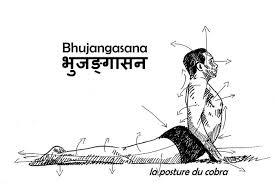 Connaissez Vous Les Differences Entre Bhujangasana Le Cobra Et Urdhva Mukha Svanasana Le Chien Tete En Haut