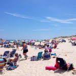 Island beach state park season pass 2020. N J Offers Online Purchase Of Annual Passes To 47 State Parks Whyy
