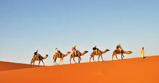 Usually guests walk and the camels carry the gear, although you're welcome to ride the camels as much as you like! Tunisia 3 Day Sahara Desert Camel Trek From Douz Getyourguide