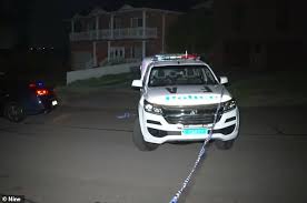 Maha hamzy, the aunt of. Three Children Inside Home Sprayed With Bullets Amid Spate Of Drive By Shootings In Sydney 247 News Around The World