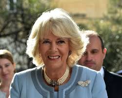 Parker bowles was first introduced to camilla by his younger brother simon. Camilla Parker Bowles Net Worth Celebrity Net Worth