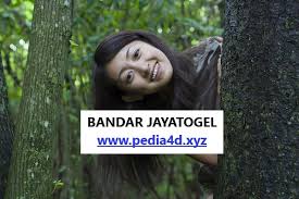 Cara Pasang Taruhan Di Situs Jayatogel Terpercaya