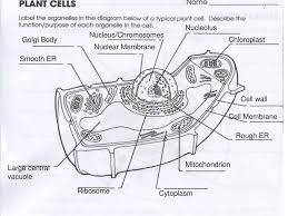 However, certain organelles can only be found in plant cells and certain organelles can only be found in animal cells. Homeostasis The Goal Of Living Things Is To Maintain Homeostasis A Dynamic Equilibrium Health Internal Balance All Life Functions Interact In Order Ppt Download
