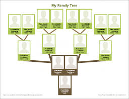 Excel 17 Feuilles De Calcul Gratuites Pour Faciliter Votre Vie Informatique Arbre Genealogique Gratuit Arbre Genealogique Vierge Et Arbre Genealogique Imprimable