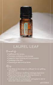 Pin On Essential Oils