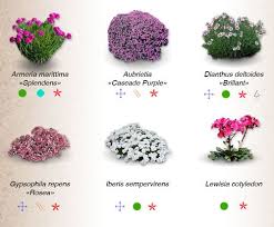 Come Fare Un Giardino Roccioso Http Www Onegiardinaggio Com Guide E Consigli Come Fare Giardino Roccioso Idee Giardino Roccioso Giardino Roccioso Fai Da Te