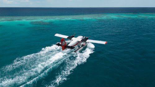 Trans Maldivian Airways Strengthens Fleet with Arrival of 66th Aircraft -  Trans Maldivian Airways
