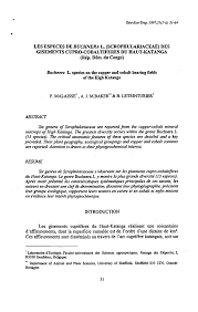 Image result for Buchnera cryptocephala