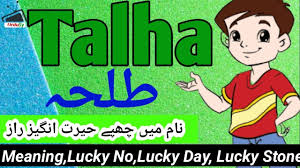 Talha طلحہ Name Meaning In Urdu Talha Naam Ka Matlab Kya Hai Islamic In 2020 Muslim Boy Names Islamic Names For Boys Names With Meaning