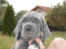 Voir plus d'idées sur le thème matin de naples, matin, naples. Bebe Matin De Naples Youtube