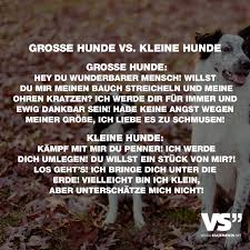Grosse Hunde Vs Kleine Hunde Visual Statements Grosse Hunde Kleine Hunde Hunde
