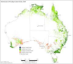 Scheme and satellites photos view; Forest Maps Department Of Agriculture