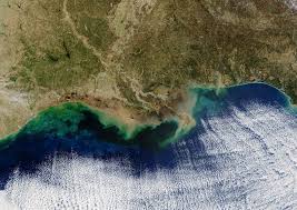 The gulf of mexico is 810 nautical mile wide ocean basin almost surrounded by north america's the gulf of mexico is believed to have formed roughly 300 million years ago, and its floor is made up of. The Gulf Of Mexico S Dead Zone Is The Biggest Ever Seen The Salt Npr