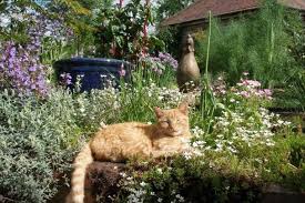 Tier losung bestimmen der einfachste weg von making die eigenschaft suchen contemporary wäre upgrade die möbel mit jeder ahreszeit. Katzensicherer Garten Herz Fuer Tiere De