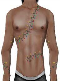 Check spelling or type a new query. Second Life Marketplace Immundus Christmas Lights Boxed