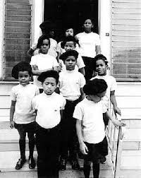 Black Panther Liberation School African American History Black History African History