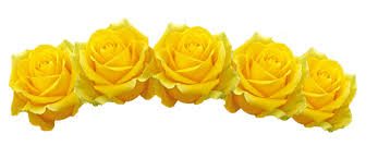 Yellow Rose Roses Flower Crown Pretty Style Mood Summer Aes Transparent Filler Moodboard Niche Aesthetic Over Yellow Flower Crown Transparent Flowers Crown Png Are you searching for yellow crown png images or vector?