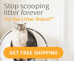 Read customer reviews on amazon.com. Skoon Cat Litter Review For 2021 Find Out Why We Don T