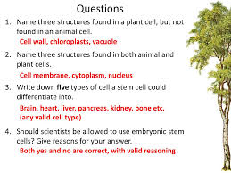 Maybe you would like to learn more about one of these? Growth And Development Ppt Download