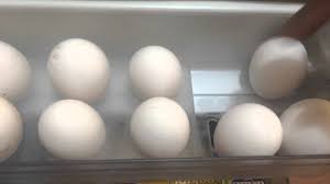 14 3/8 l x 5 1/4 w x 3 5/8 h. Egg Tray In The Fridge Youtube
