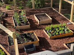 The best selection in spokane for all your pet and garden needs! Garden Coach Stories Gardenary