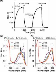 Please check the permissions on your ad account. A Dual Ligand Modulable Fluorescent Protein Based On Unag And Calmodulin Sciencedirect