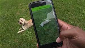 New Dog App Can Identify Your Dog's Breed With A Photo - Abc13 Houston