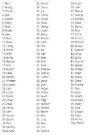 Black And White Bunny Names Boy Bildresultat Fur Hamsternamen Mannlich Nomes Para Hamster Coisas De Hamster Nomes Para Coelhos