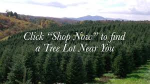 Where shopping is a pleasure. Severts Christmas Tree Farm Home Facebook