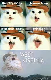 Cat memes cowboy meme singing hat kitty crying cats today song funny talking humor cow know junkee come side kittens. Cowboy Cat R Memes Know Your Meme