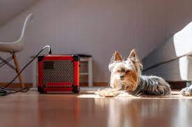 Buy best and quality timber attic ladders at less price only from ladder central. Happy Young Woman Carrying Yorkshire Terrier At Home Stockphoto
