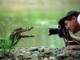 Kuvaton Com Epa Hauska Ajatuksia Puhetta Herattava Epa Ajankohtaisuutiskuvapal National Geographic Photographers Wildlife Photography Animal Photography