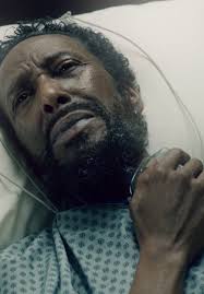 In the Weeds: TV Fanatic Talks to Hunter Parrish