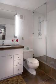 Maureen S Modern Millwork Small Cool 2011 Apartment Therapy Bathroom Inspiration Dark Brown Floor Brown Tile Floor