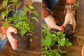 From functional items like a hanging plant colander, to indoor decorations like a kitchen herb garden, these decor ideas might make you want to get outside and garden! Diy Vertical Herb Garden Made Of Pots Cute Idea For Your Kitchen