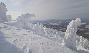 Image result for Hakkoda Walk