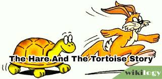 The next day the tortoise and the hare stood at the start, ready for the race. Slow And Steady Wins The Race Story The Hare And The Tortoise Wikilogy