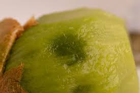 How To Store Kiwi Can It Go Bad
