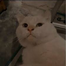 Fotos divertidas memes divertidos chistes personajes de videojuegos arte de videojuegos creaciones minecraft mini historias arte anime de fantasía humor absurdo. Zakiyyah Aisha Faiha Azmi Zaishafaihaazmi Profil Pinterest