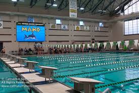 Check spelling or type a new query. Mako Swimming The Pool