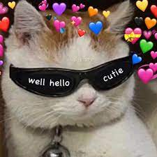 Pin By Alba Ramirez On Memes Cute Cat Memes Cute Love Memes Wholesome Memes