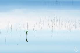 We did not find results for: Constance Mier Photography Create Simplistic Fine Art Nature Images With Strong Focal Points