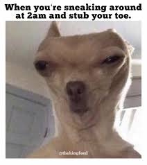 27 Hilarious Twitter Memes That Will Make You Die Of Laughter King Feed Animal Jokes Animal Memes Funny Animal Memes