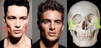 Repeat three or four times. Hollow Cheeks How They Can Be Formed By Mewing Tooth For A Tooth Com